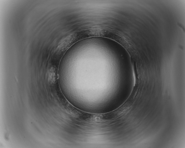 X0000100780080200806261639