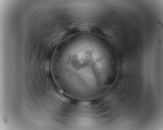 X0000100780081200806261639