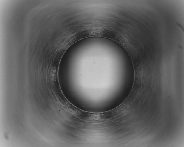 X0000100780083200806261639