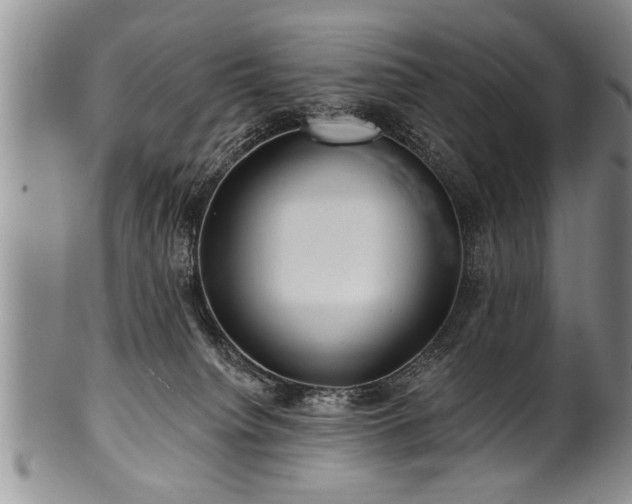 X0000100780084200806261639