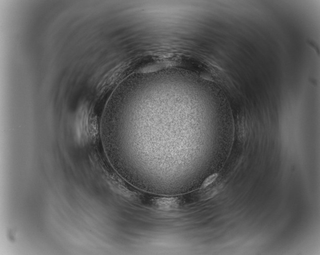 X0000100780085200806261639