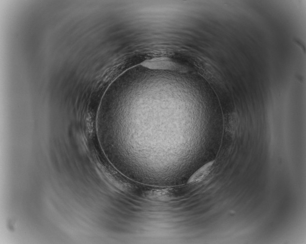 X0000100780086200806261639