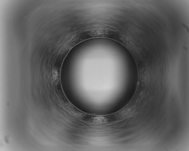 X0000100780087200806261639