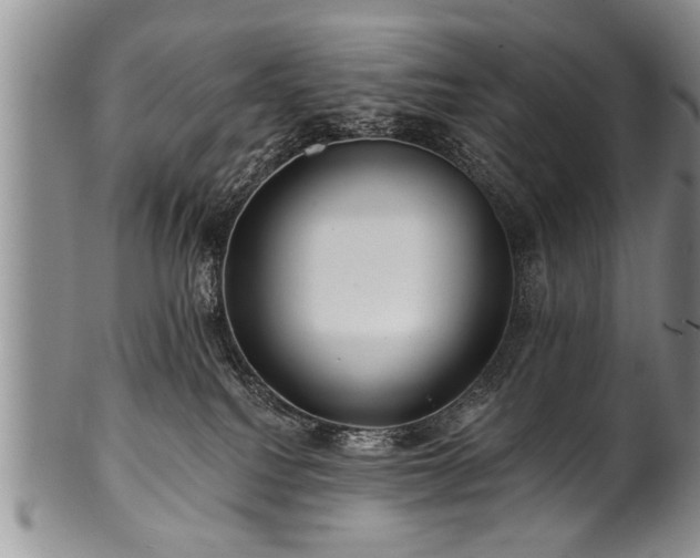 X0000100780088200806261639