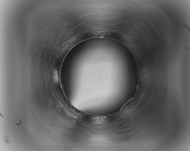 X0000100780089200806261639