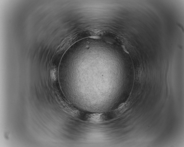 X0000100780090200806261639