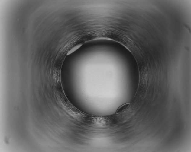 X0000100780091200806261639