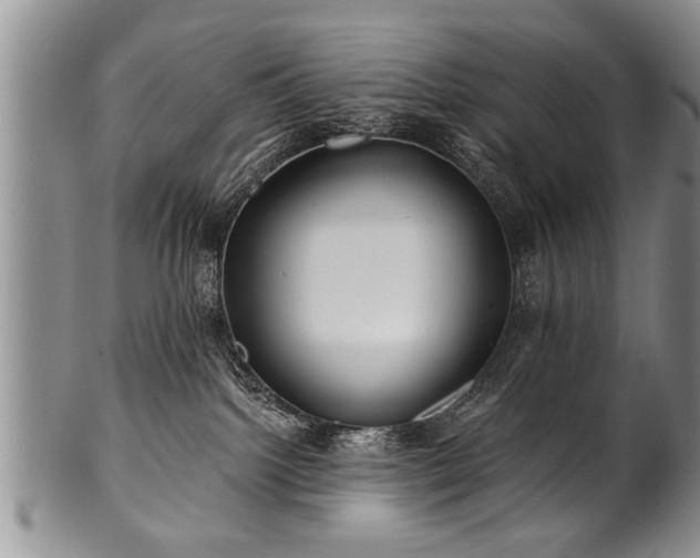 X0000100780092200806261639