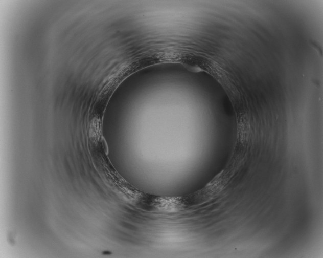 X0000100780093200806261639