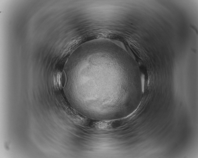 X0000100780094200806261639