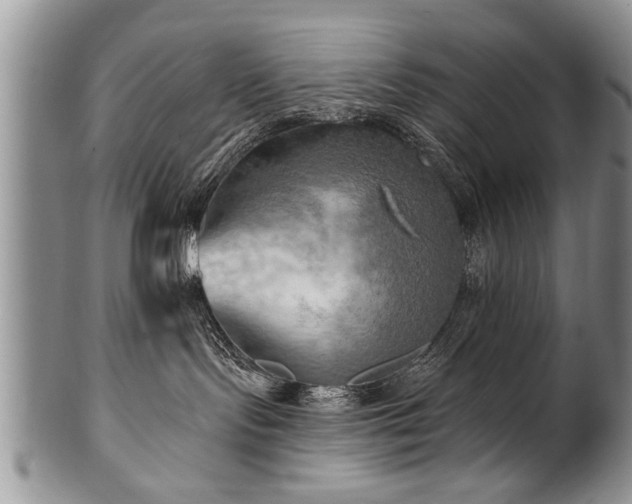 X0000100780095200806261639