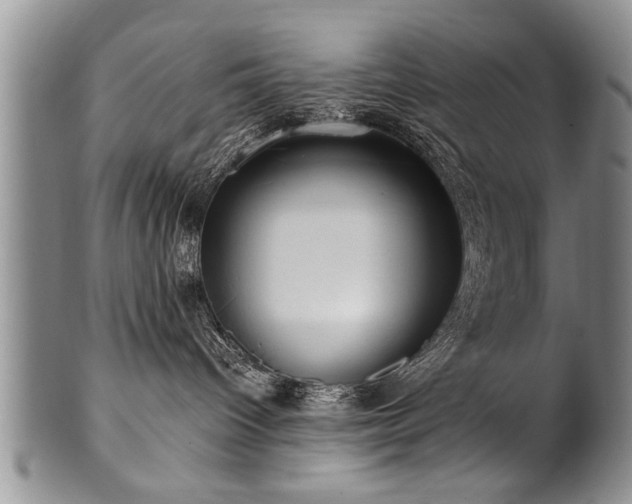 X0000100780096200806261639