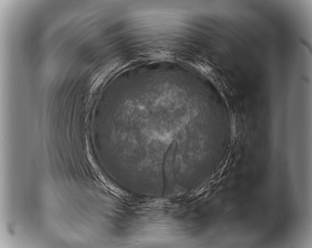 X0000100780097200806261638