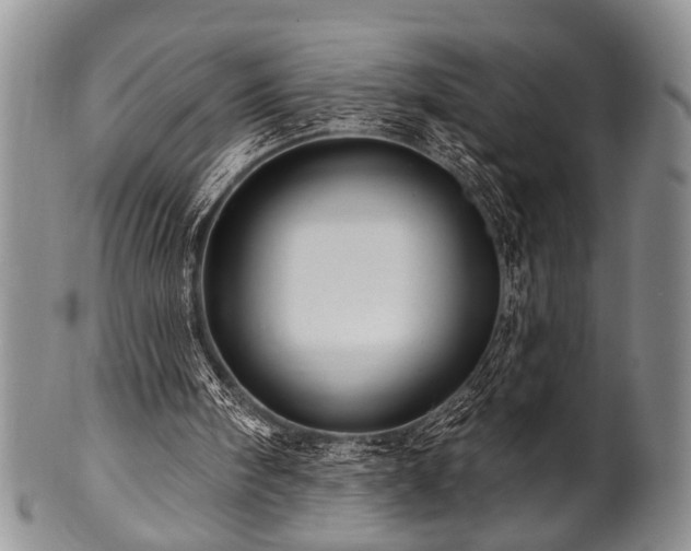 X0000100780098200806261638