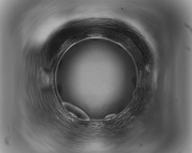 X0000100780099200806261638