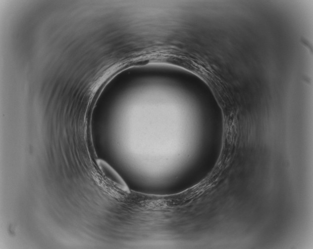 X0000100780100200806261638