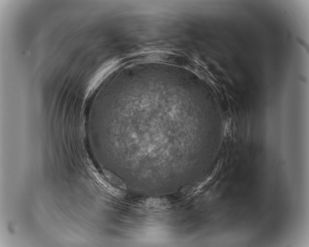 X0000100780101200806261638