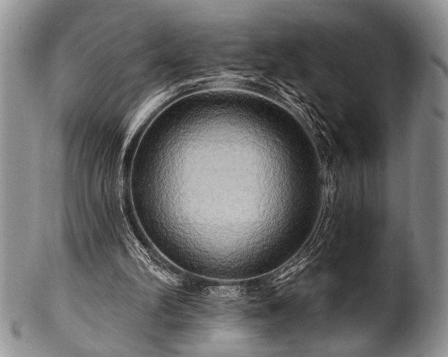 X0000100780102200806261638