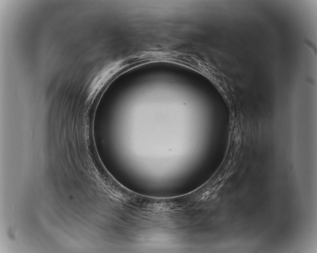 X0000100780103200806261638