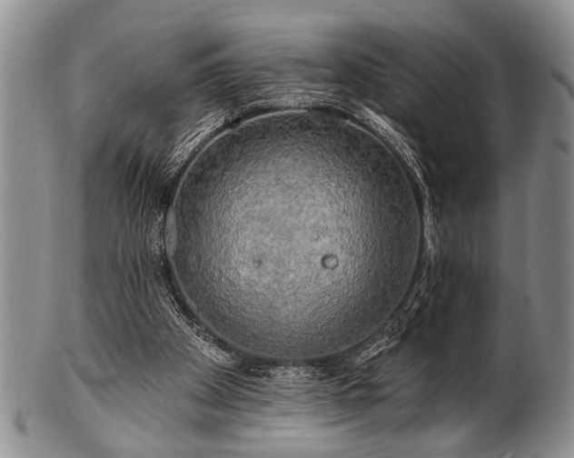 X0000100780105200806261638