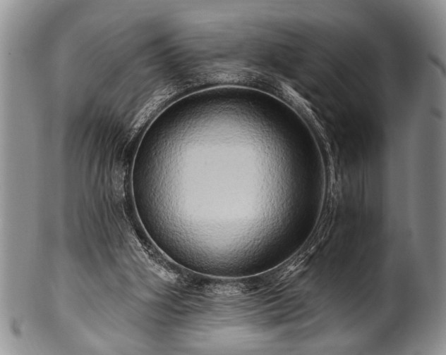 X0000100780106200806261638