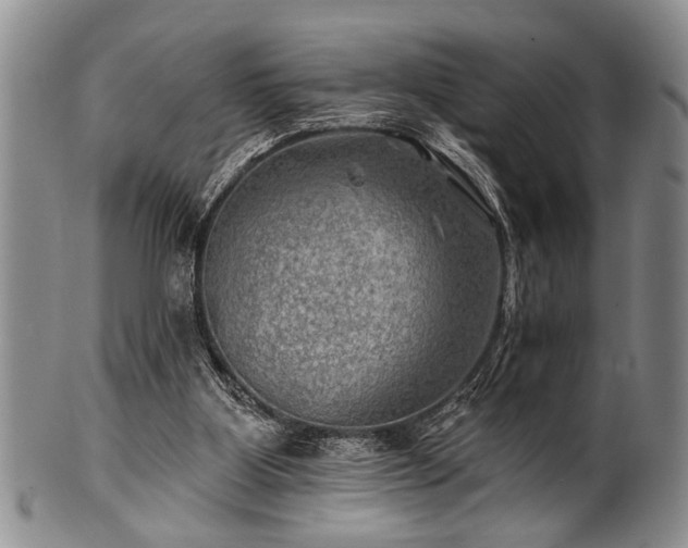 X0000100780107200806261638