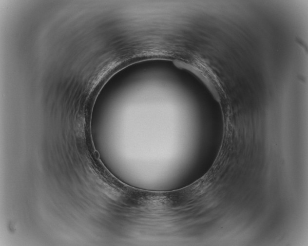 X0000100780108200806261638