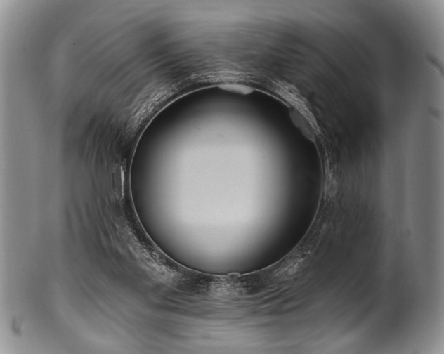 X0000100780109200806261638