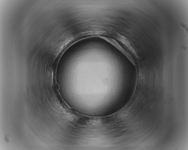 X0000100780110200806261638