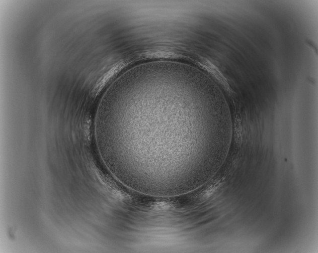 X0000100780111200806261638