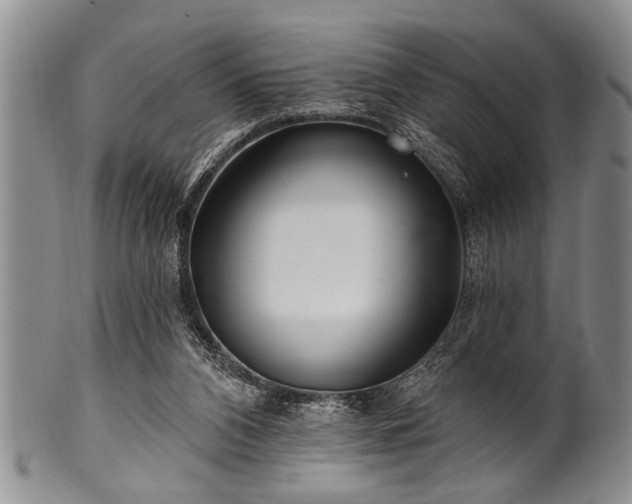 X0000100780112200806261638