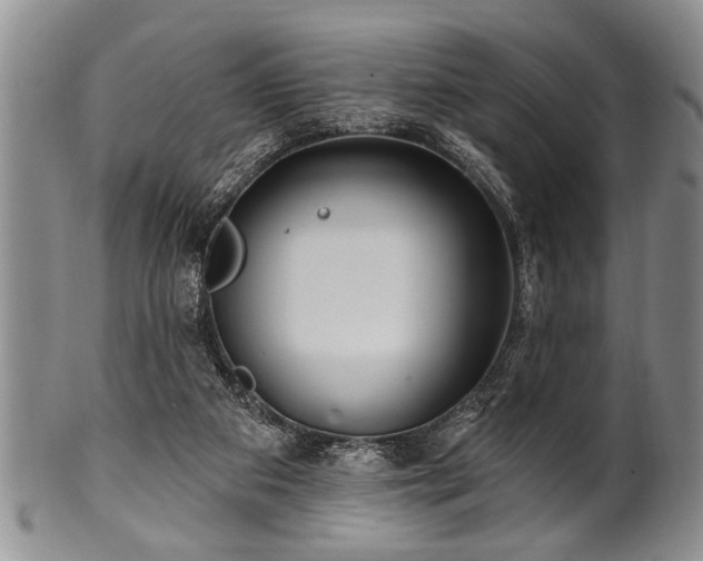 X0000100780113200806261638