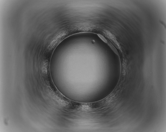 X0000100780114200806261638