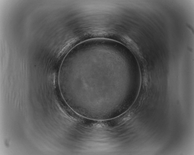 X0000100780115200806261638