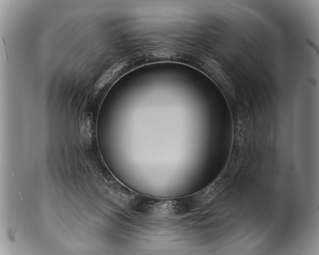 X0000100780116200806261638