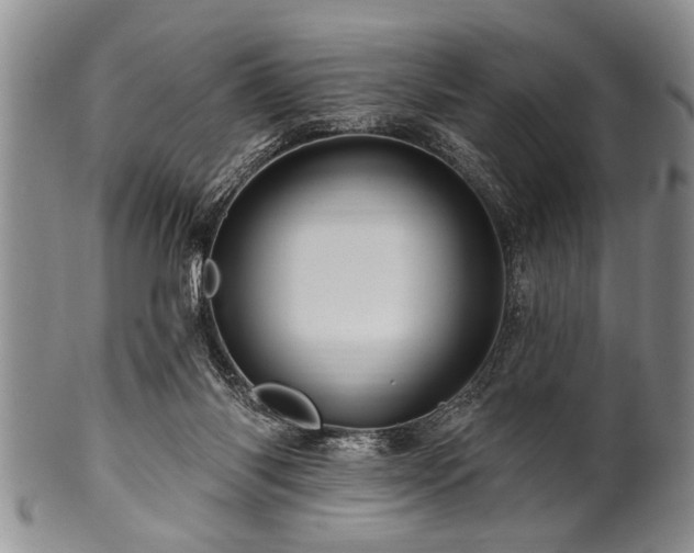 X0000100780118200806261638