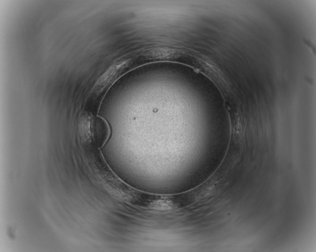 X0000100780119200806261638