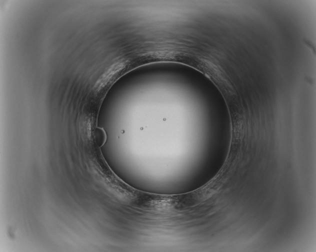 X0000100780120200806261638