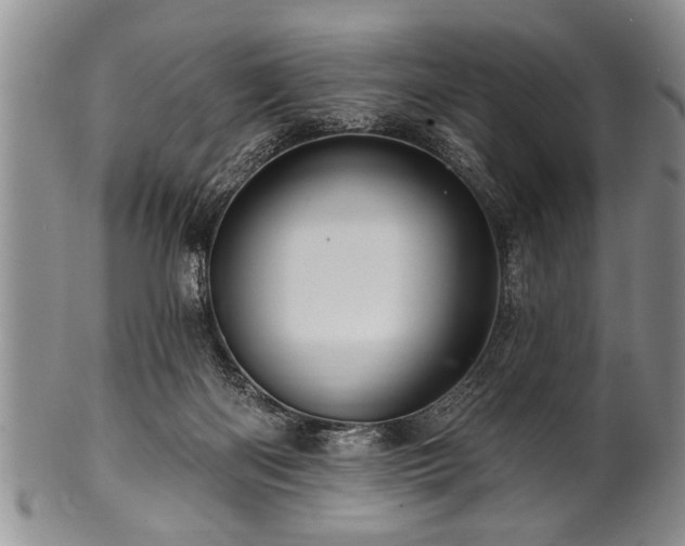 X0000100780122200806261638