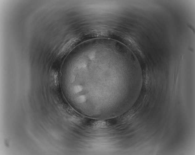 X0000100780123200806261638