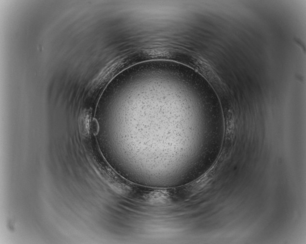 X0000100780124200806261638