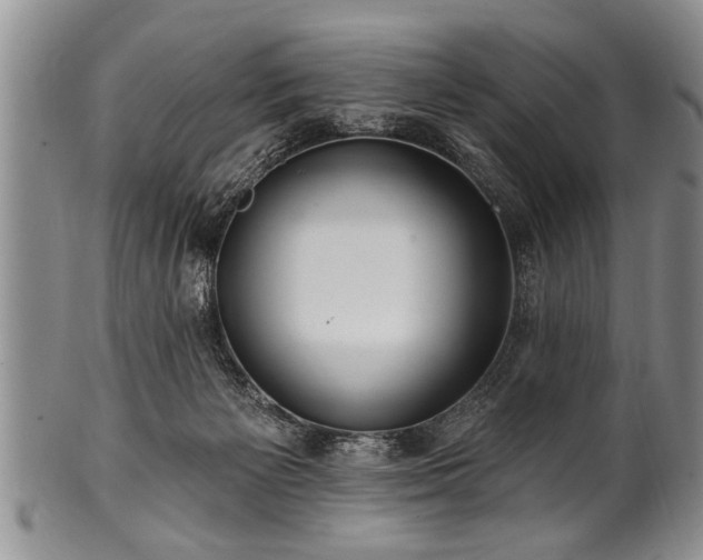 X0000100780125200806261638