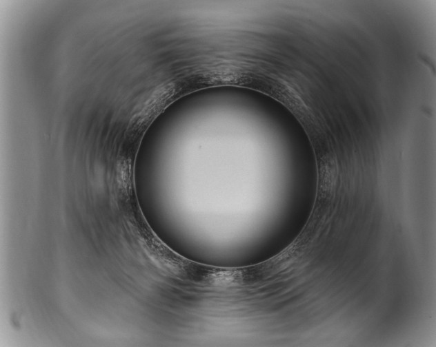 X0000100780126200806261638