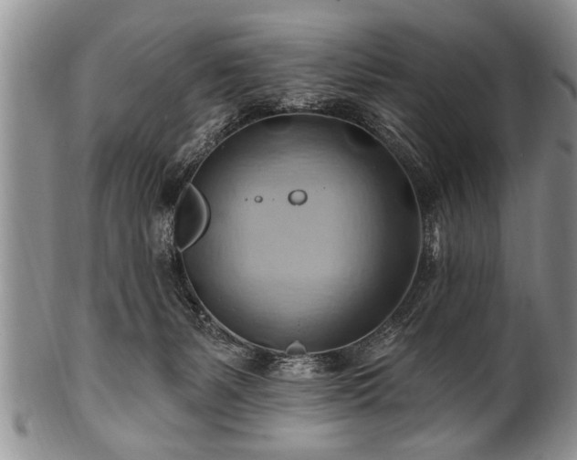 X0000100780127200806261638