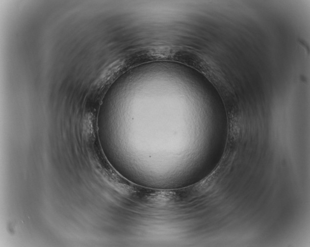 X0000100780128200806261638