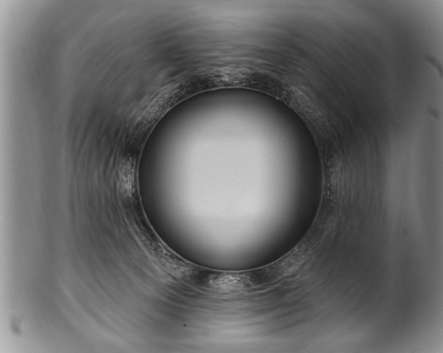 X0000100780129200806261638