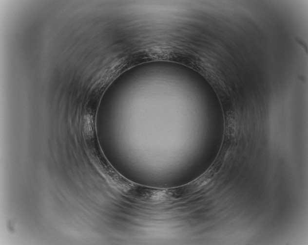 X0000100780130200806261638