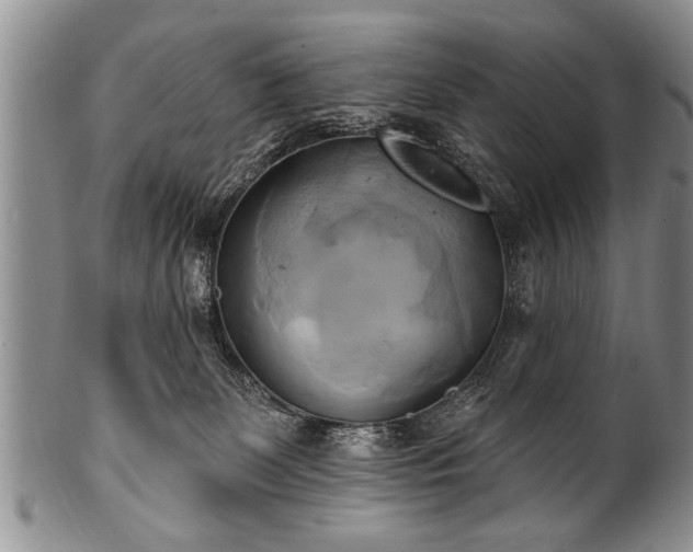 X0000100780131200806261638