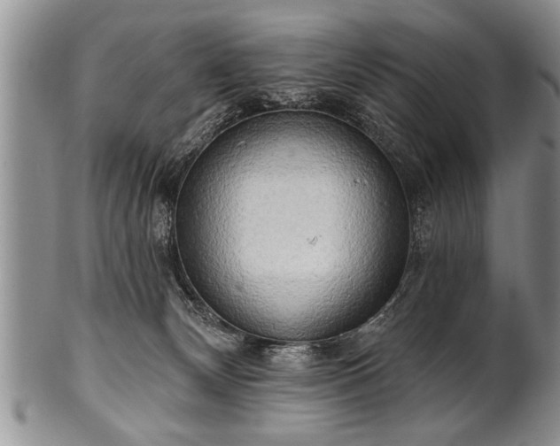 X0000100780132200806261638