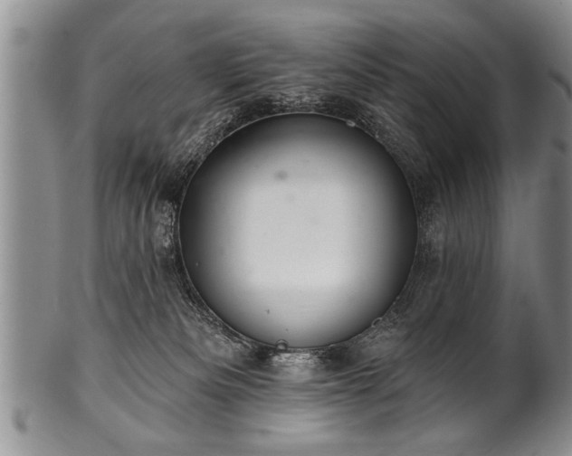 X0000100780133200806261638